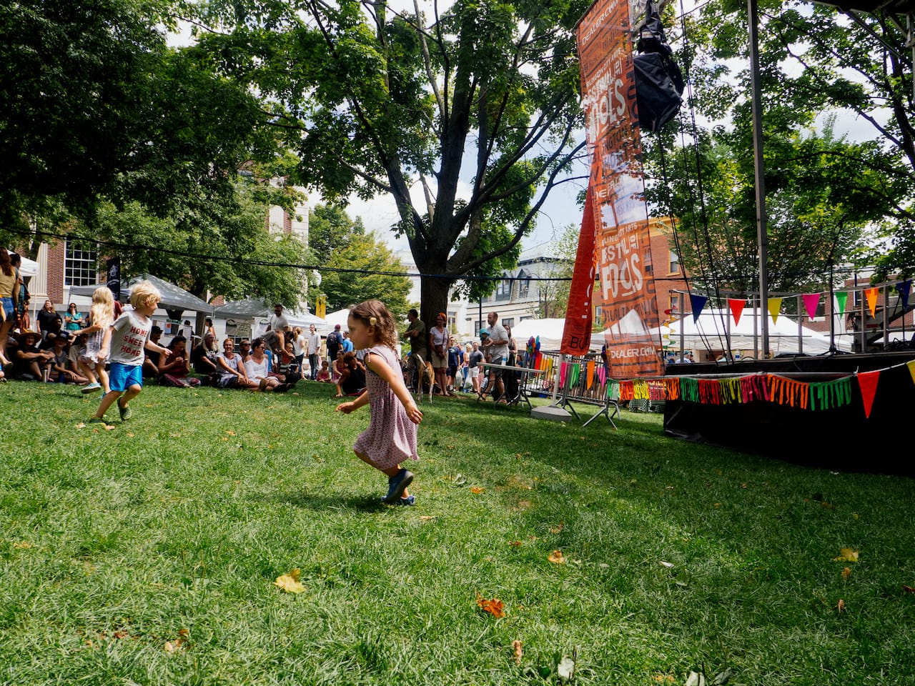 Festival day in the park.