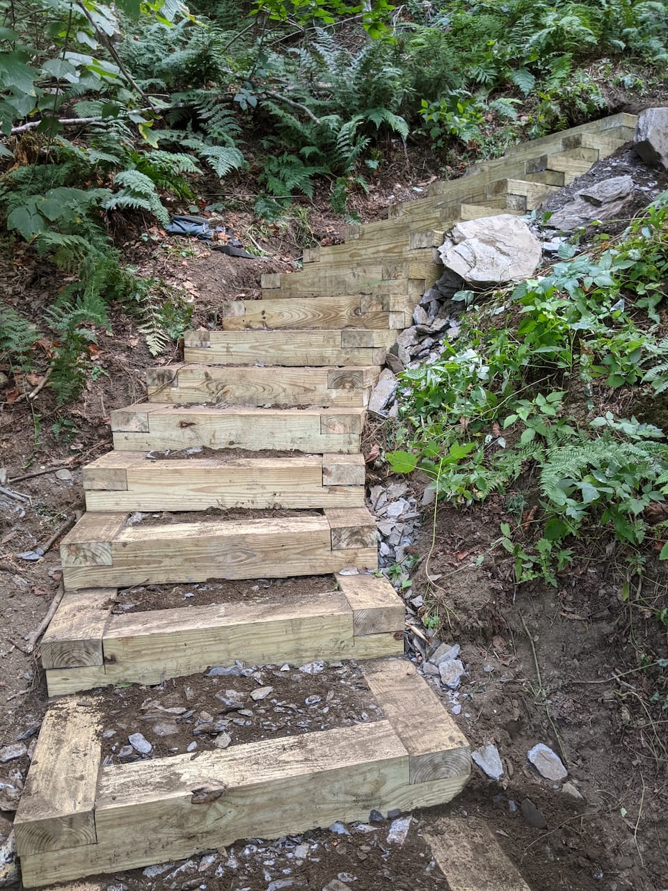 Stone and wood stairs on the trail.